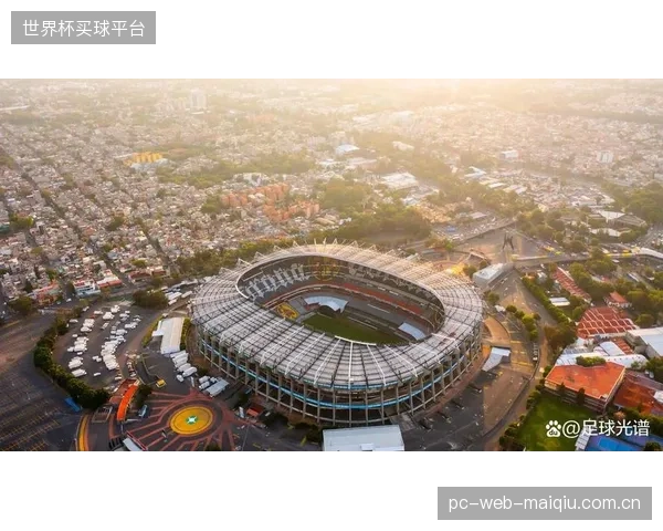 墨西哥城的阿兹特克球场等高原场地，将对非美洲球队的体能构成严峻挑战。